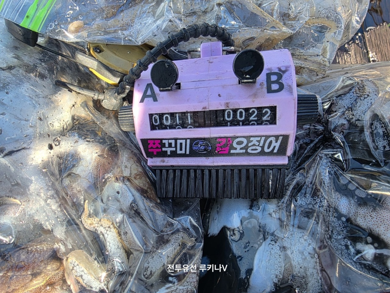 사용자가 올린 이미지