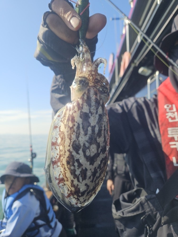 사용자가 올린 이미지