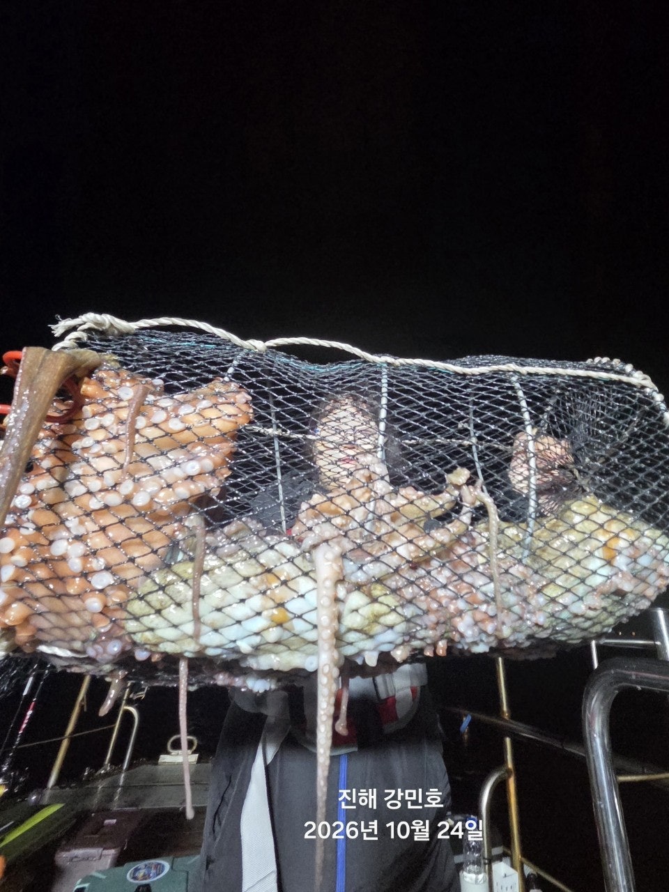 ����ڰ� �ø� �̹���