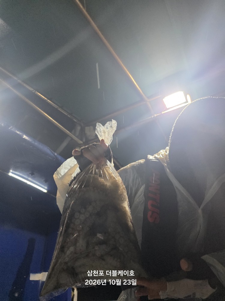 10월 24일 문어 선상낚시 조황 현장 사진 19