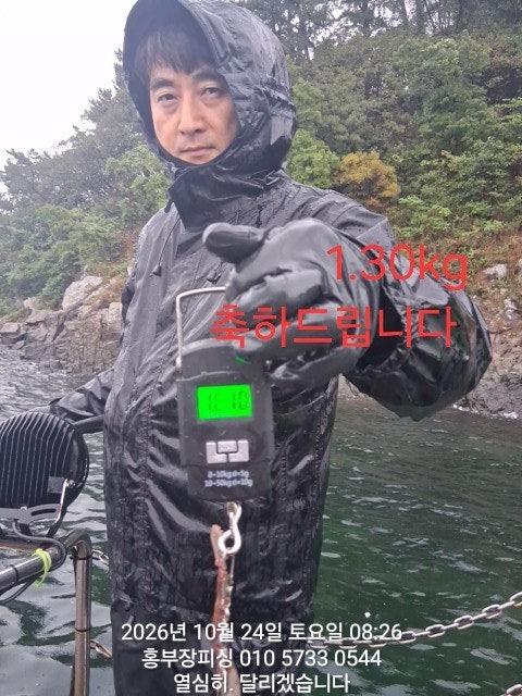 ����ڰ� �ø� �̹���