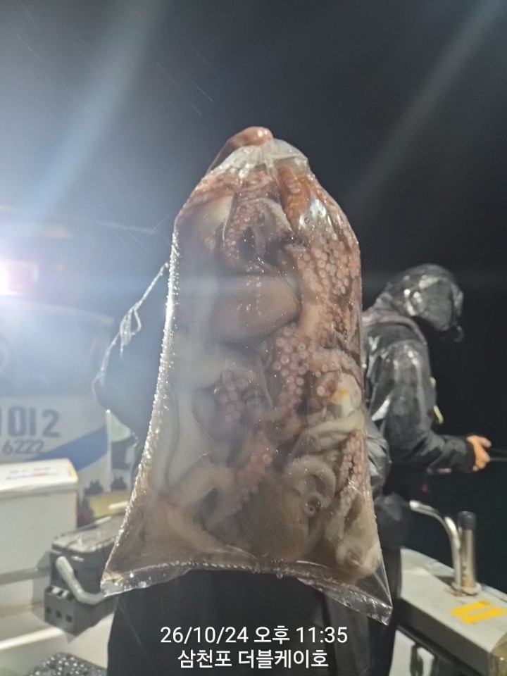 10월 25일 문어 선상낚시 조황 현장 사진 4