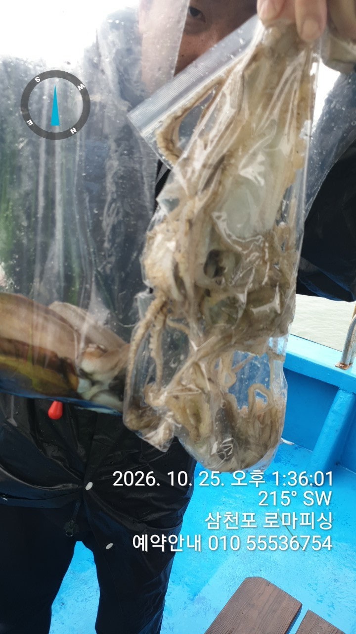 ����ڰ� �ø� �̹���