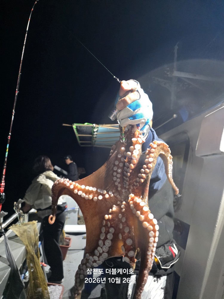 10월 26일 문어 선상낚시 조황 현장 사진 2
