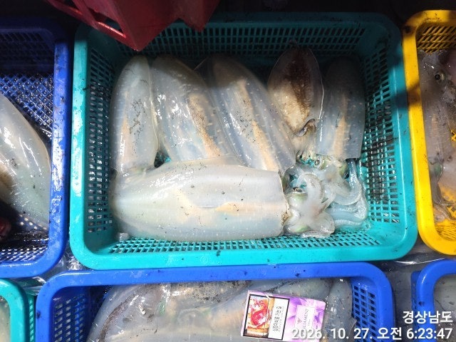 ����ڰ� �ø� �̹���