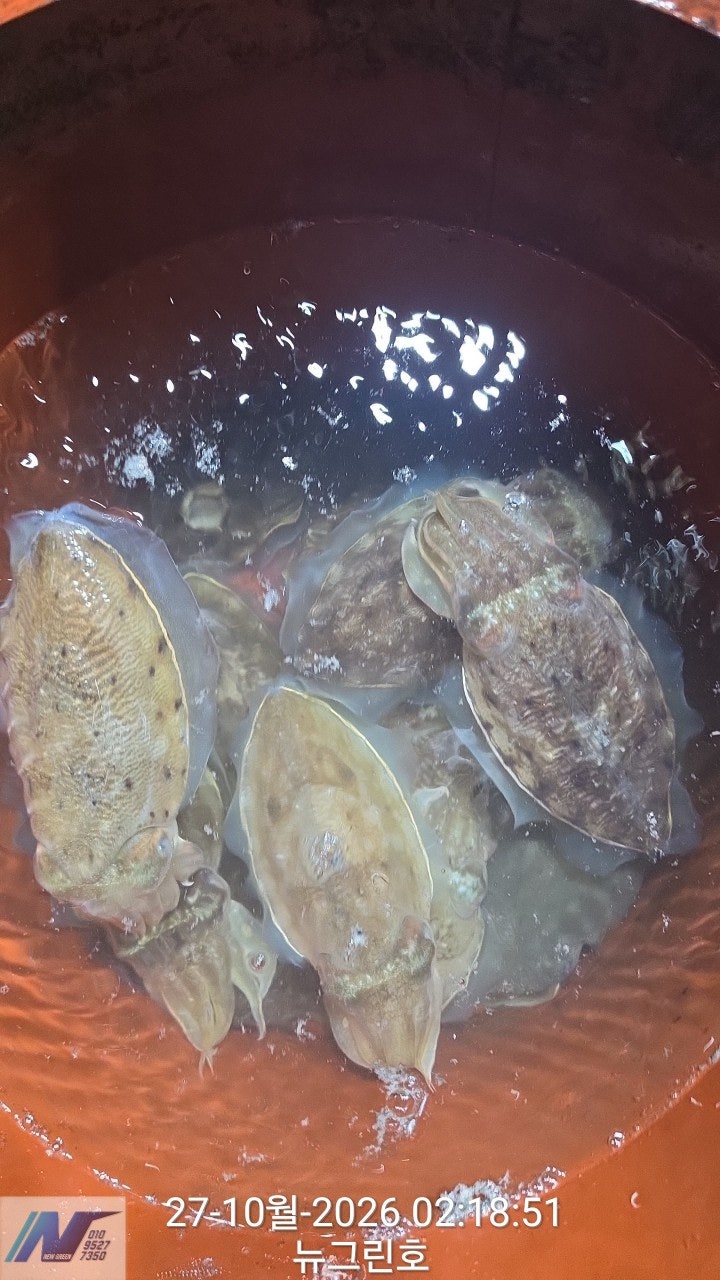 ����ڰ� �ø� �̹���