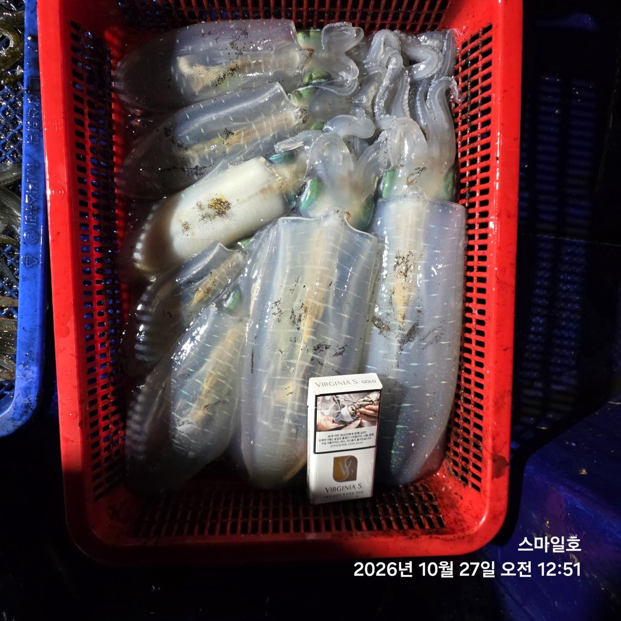 ����ڰ� �ø� �̹���