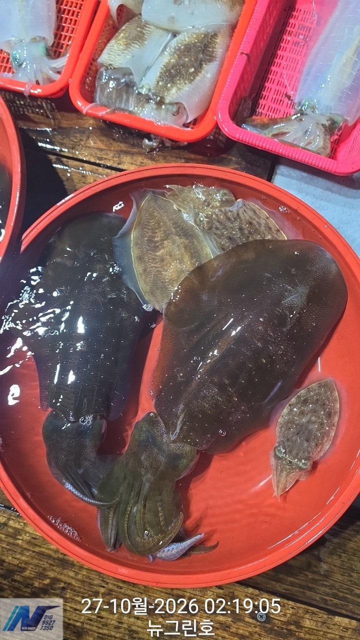 ����ڰ� �ø� �̹���