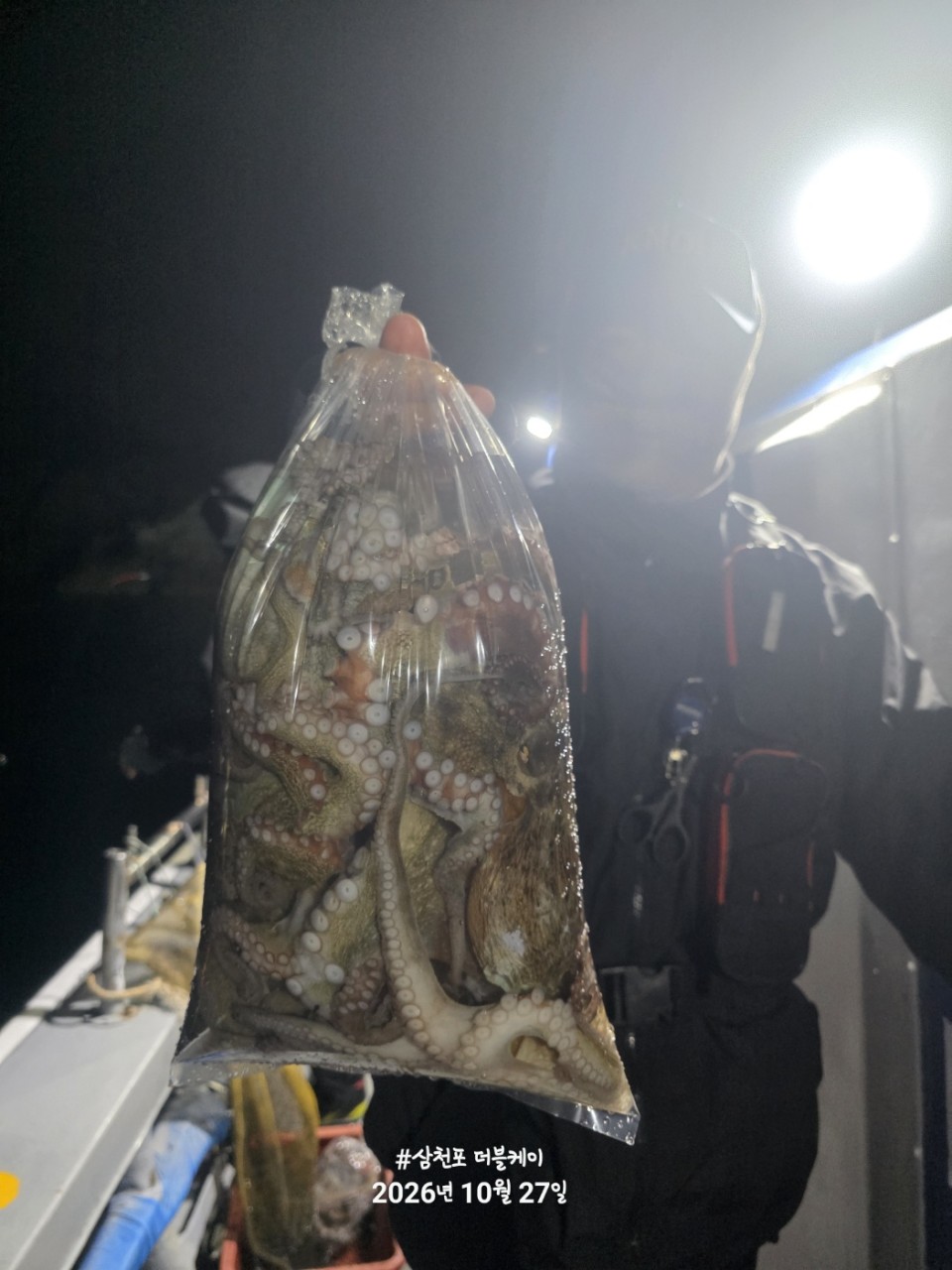 10월 28일 문어 선상낚시 조황 현장 사진 10