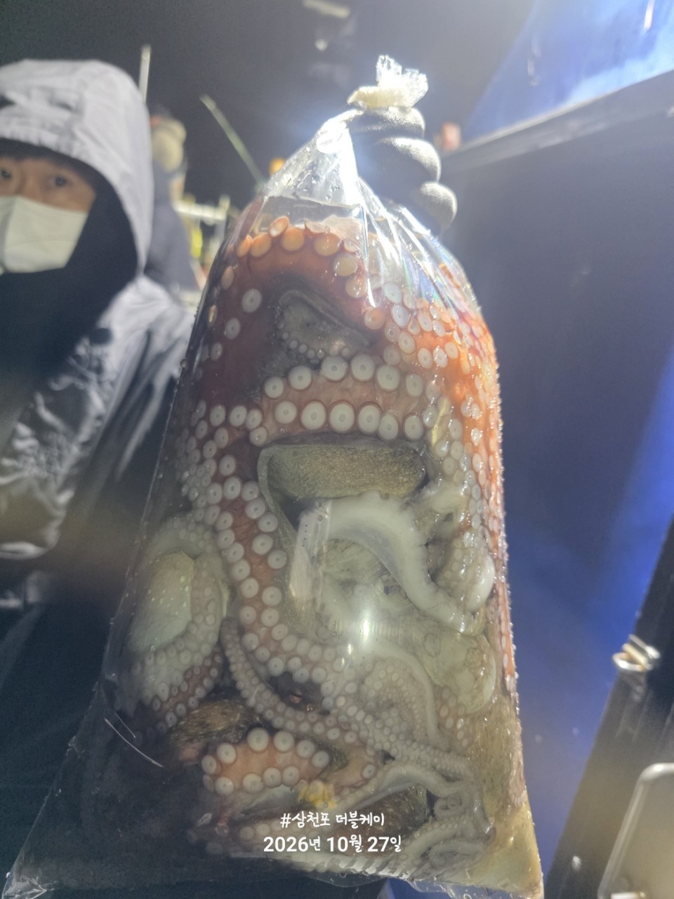 10월 28일 문어 선상낚시 조황 현장 사진 12