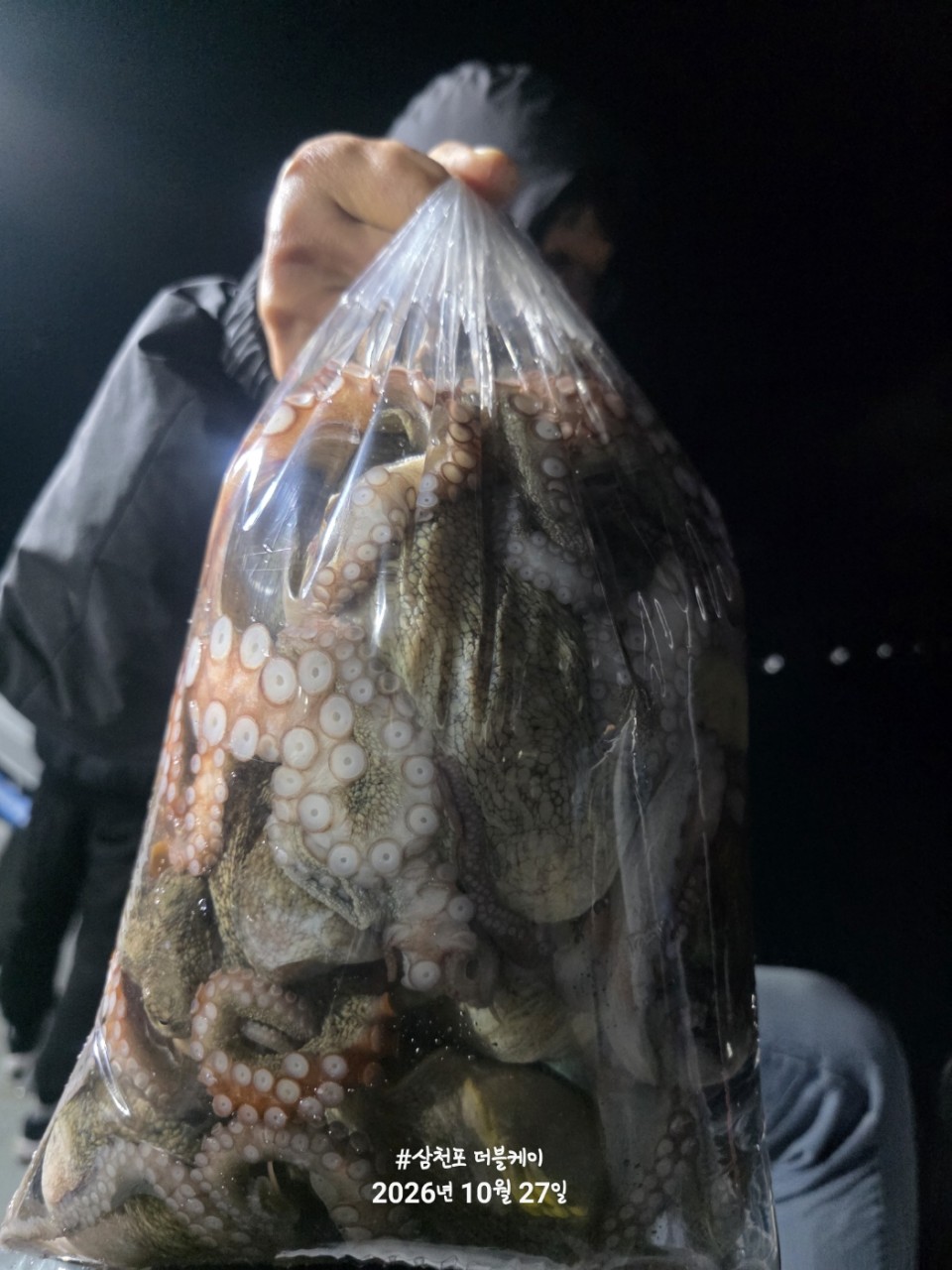 10월 28일 문어 선상낚시 조황 현장 사진 9