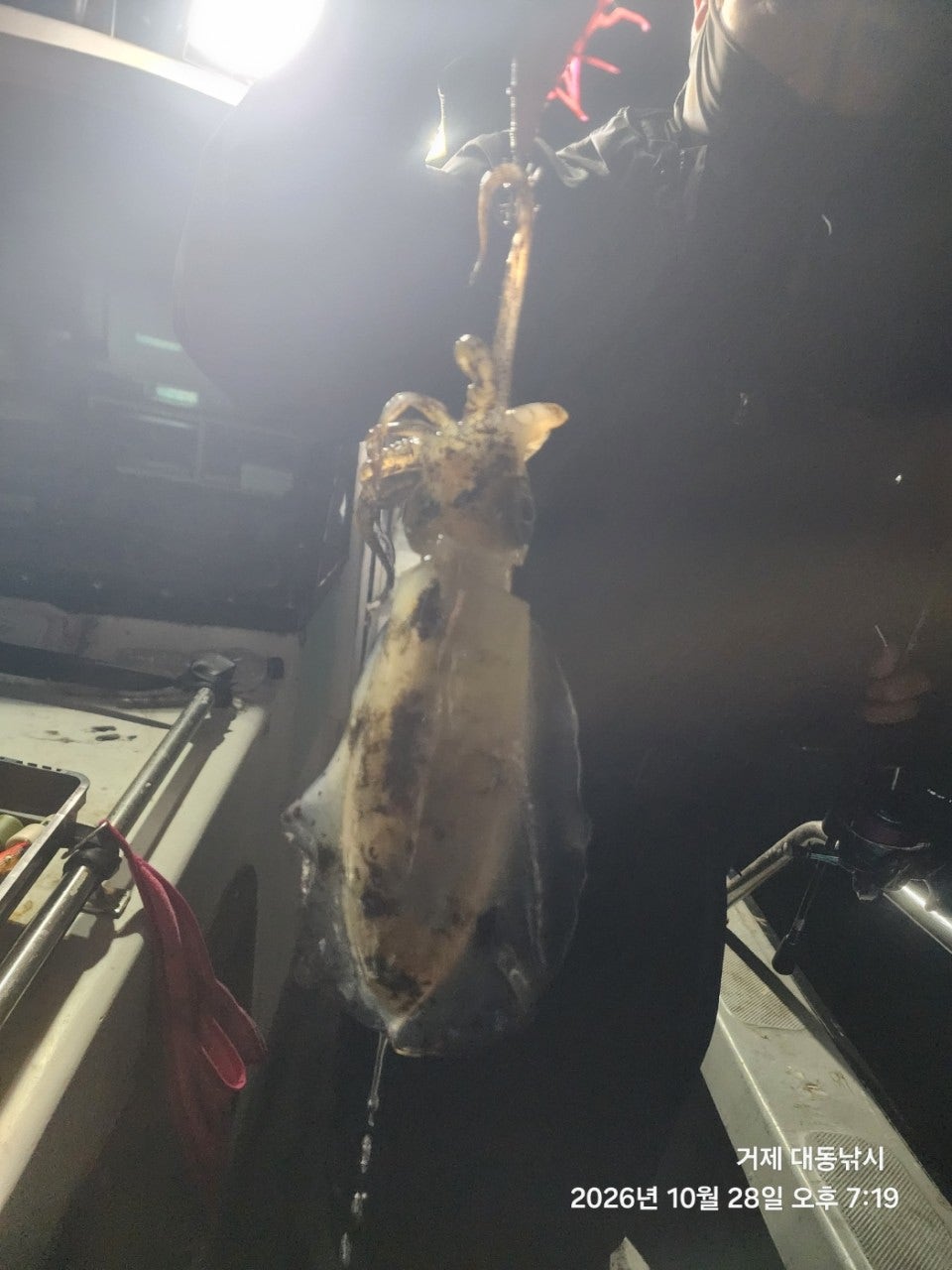 ����ڰ� �ø� �̹���