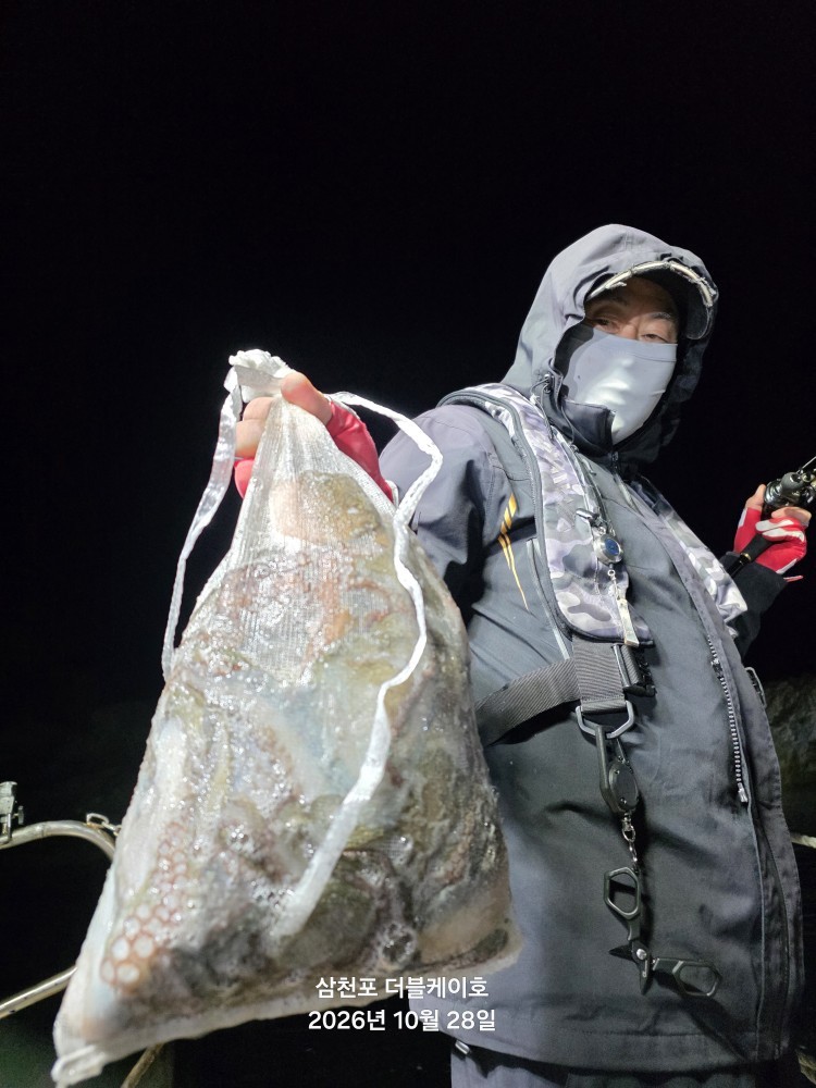 10월 29일 문어 선상낚시 조황 현장 사진 4