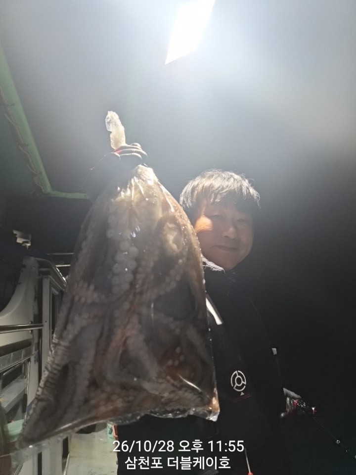 10월 29일 문어 선상낚시 조황 현장 사진 33