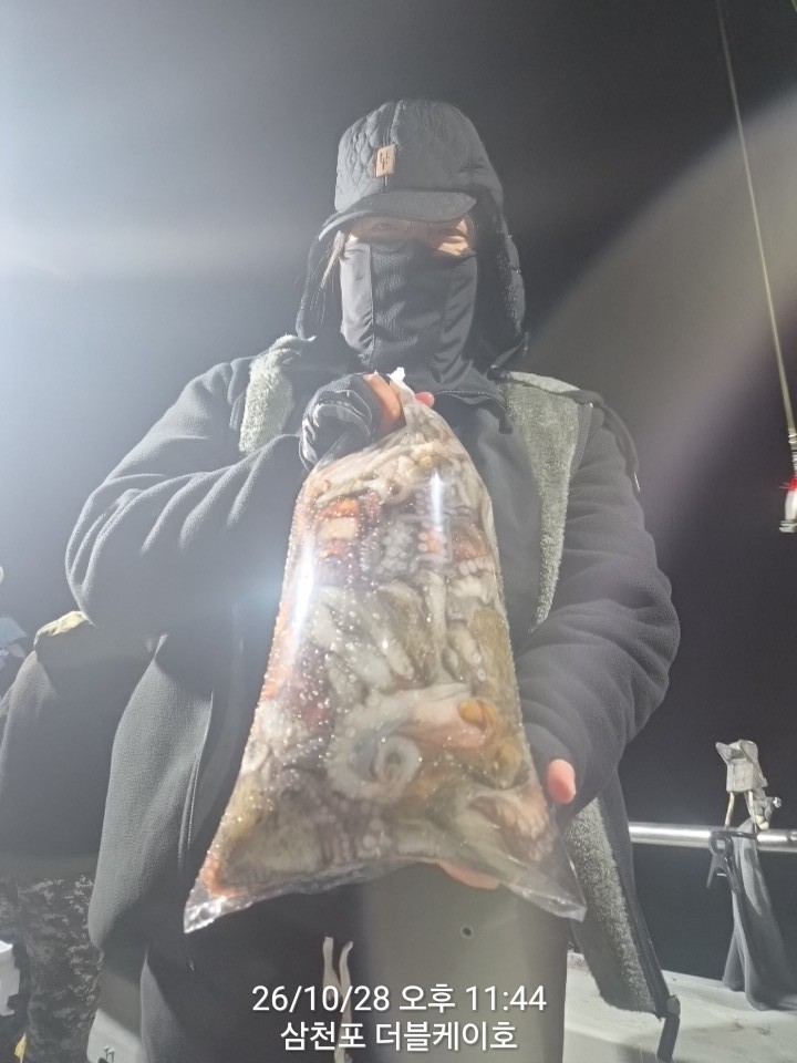 10월 29일 문어 선상낚시 조황 현장 사진 16