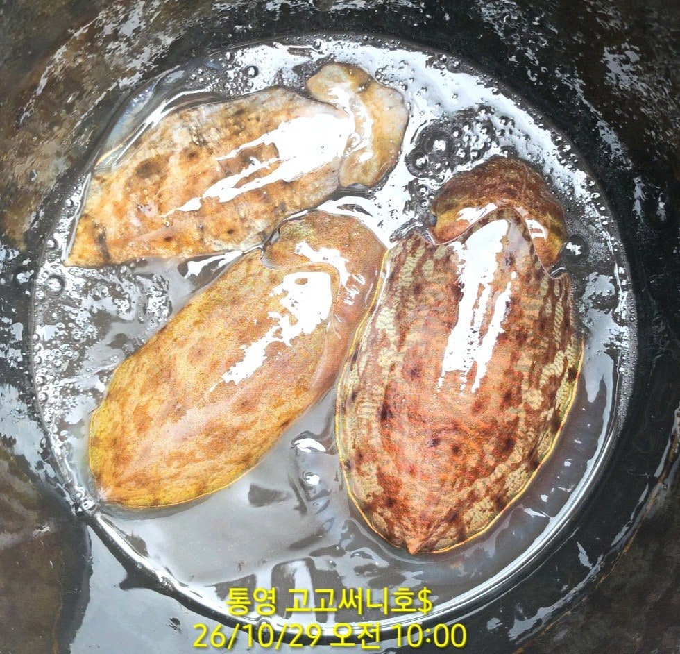����ڰ� �ø� �̹���