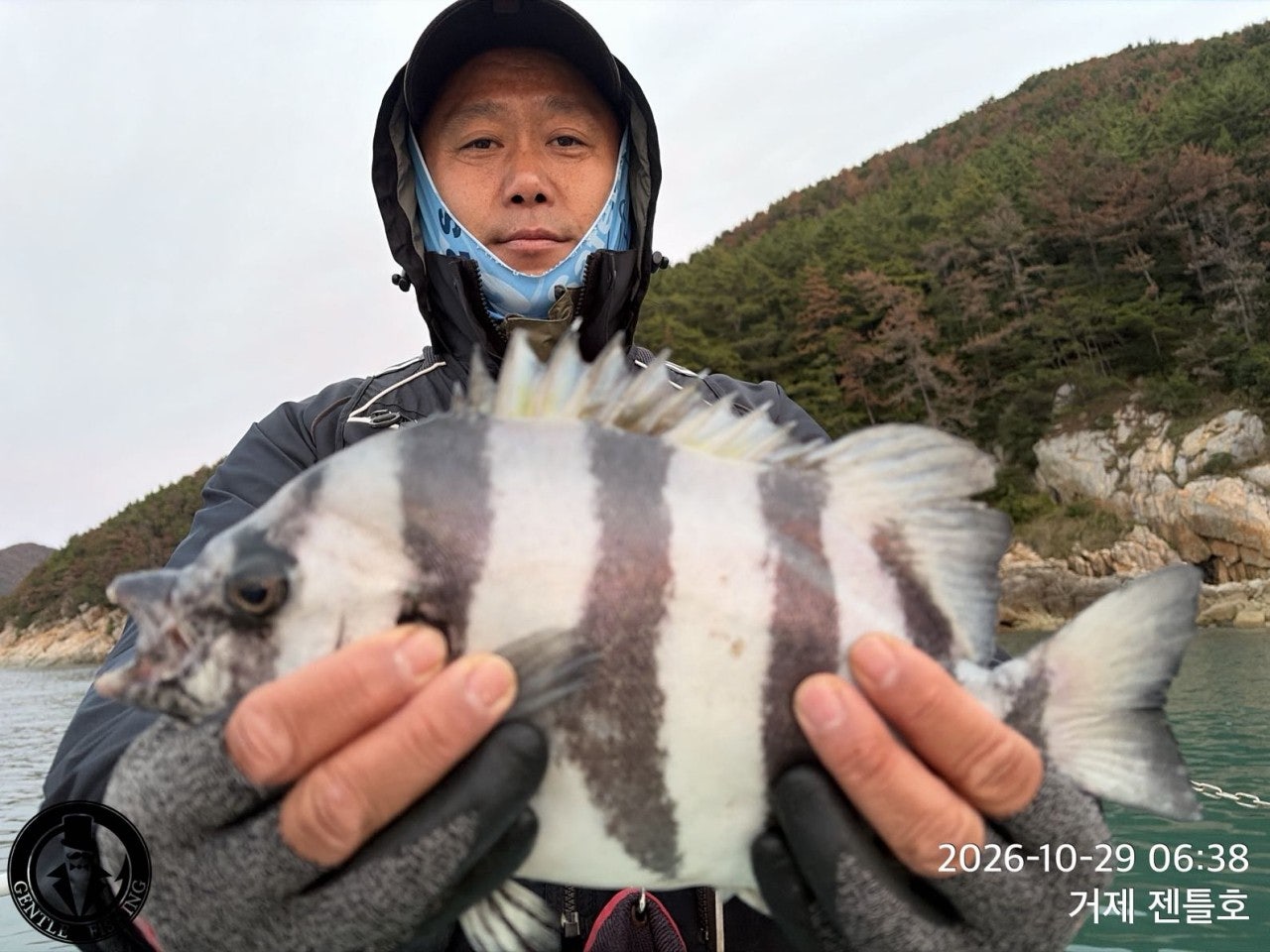 ����ڰ� �ø� �̹���