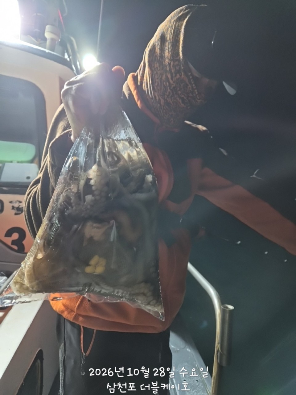 10월 29일 문어 선상낚시 조황 현장 사진 31