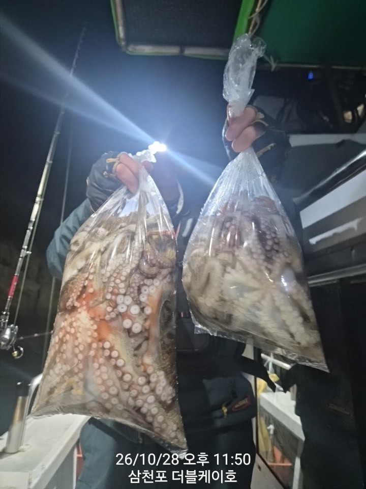 10월 29일 문어 선상낚시 조황 현장 사진 1