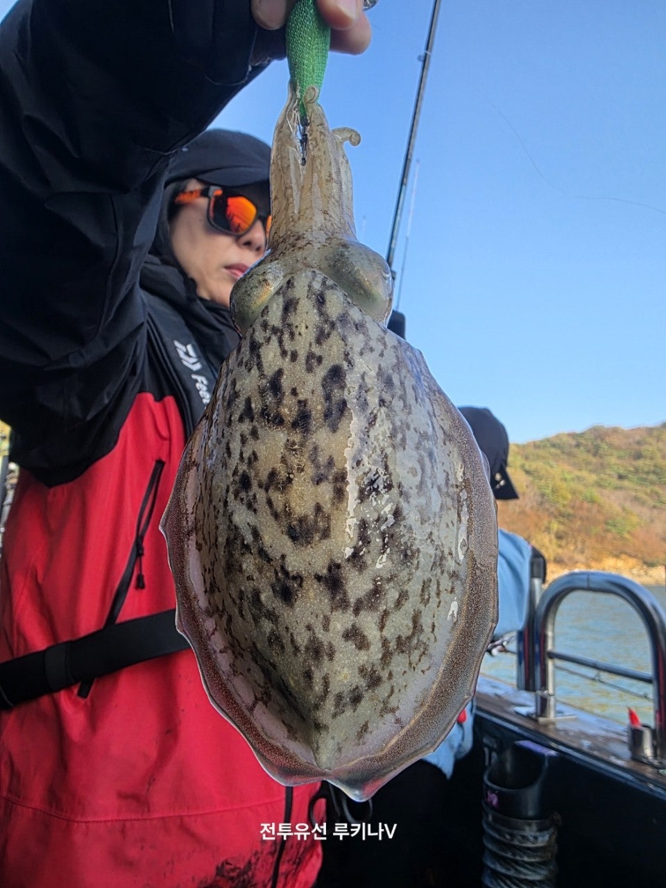 사용자가 올린 이미지