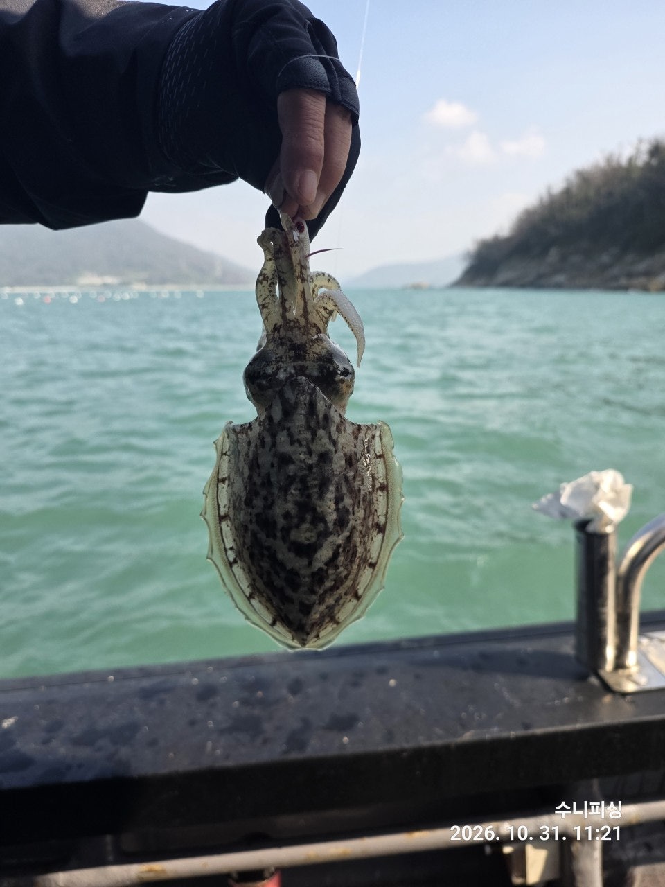 ����ڰ� �ø� �̹���